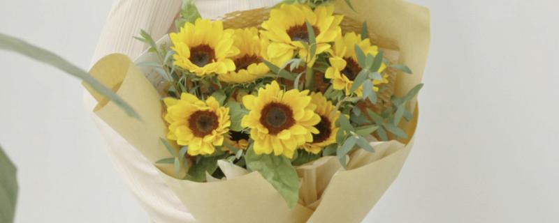 向日葵花的花语是什么，寓意沉默的爱、忠诚等