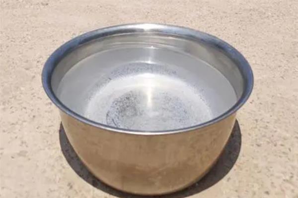 雪柳干枝的养护方法，斜剪枝条底部插入温水中、吸足水分后再用花瓶进行水培