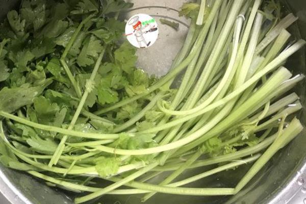 西芹的产地分布，目前在我国各地均有种植