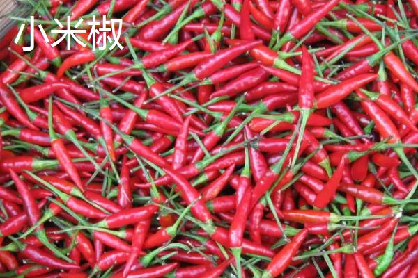 灯笼椒和小米椒的区别，外观、口感均不同
