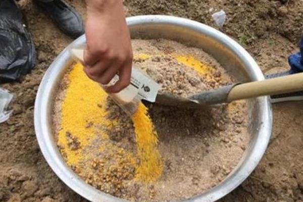 鲫鱼春季的活动地点，水草较多的浅滩适合作钓