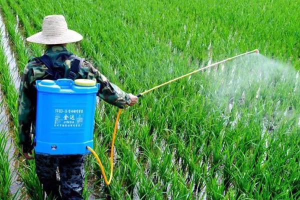 杀虫单不能在哪些作物上使用，棉花、大豆类植物都不能用