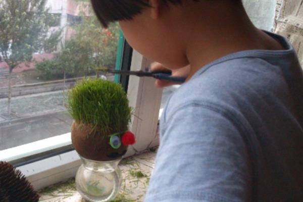 怎么种植草头娃娃，长草后每天浇水一次
