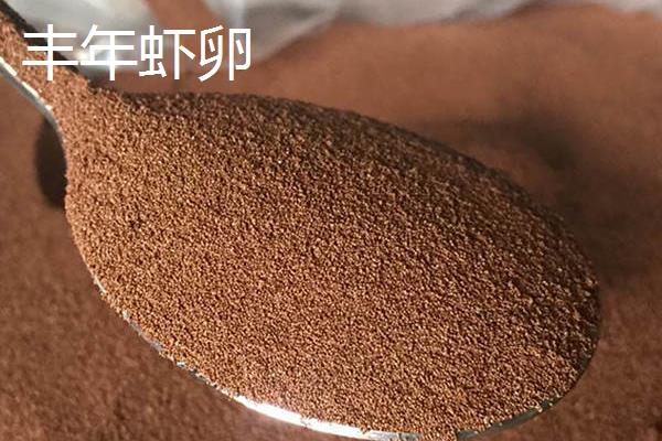 斑马鱼幼苗的养殖方法，水温保持在24-26℃之间