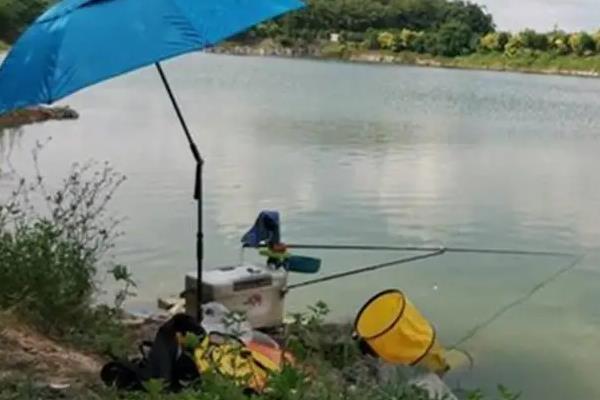 钓鱼早上钓什么方向，钓侧阳的方向以及下风向比较合适