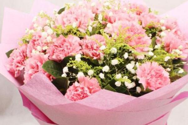 男生送女生康乃馨代表什么含义，寓意祈祷健康、表达感谢等