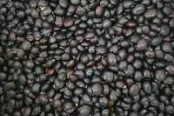 野生牛大力的外形特点,其块根通常呈圆柱状