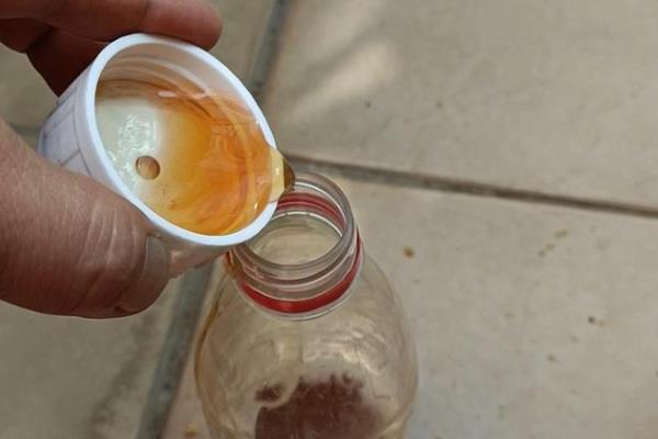 em菌在水产养殖中的作用，可增强水产物的抵抗力