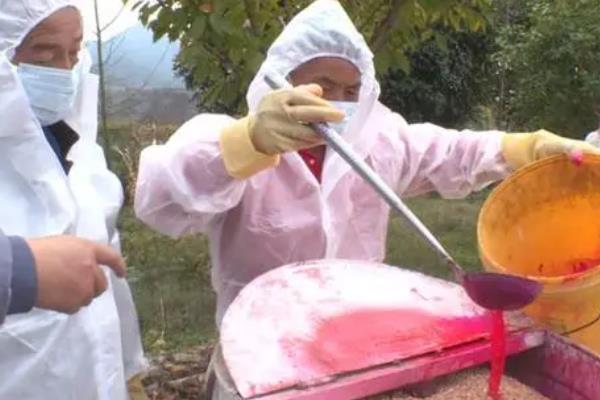 小麦药剂拌种技术，包括杀虫剂、干湿拌剂和生长剂