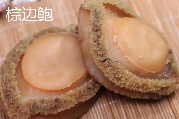 青边鲍的产地，以澳洲西南部出产的最佳