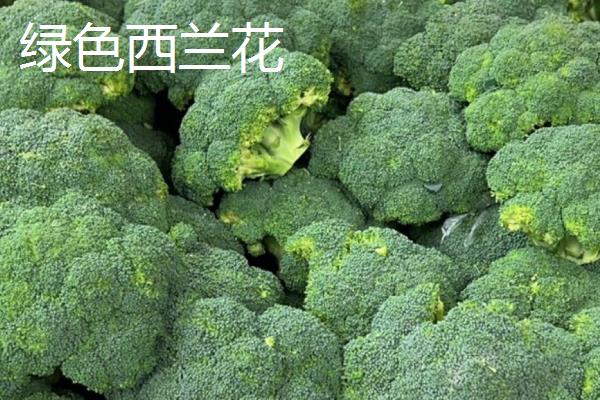 绿色西兰花和白色花菜的区别，外观、味道、营养价值均不同