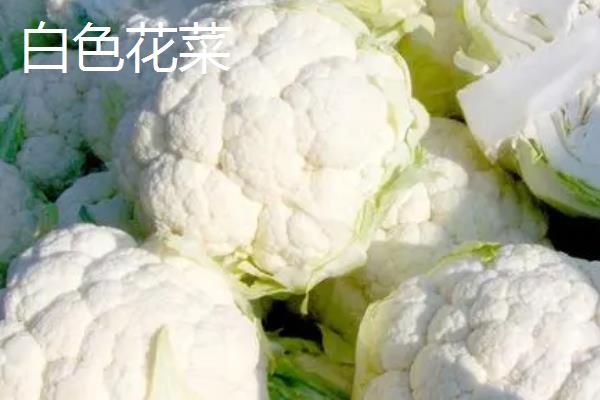 绿色西兰花和白色花菜的区别，外观、味道、营养价值均不同
