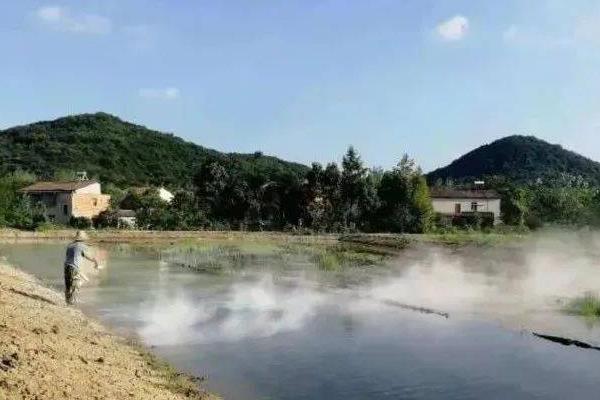 池塘养鱼密度，一般为400-800条左右
