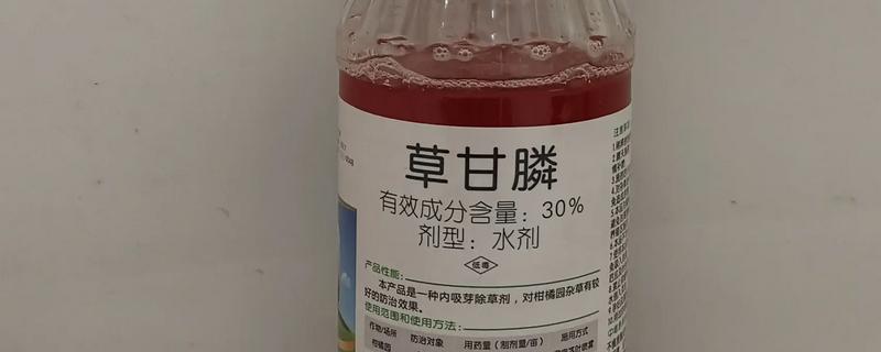 使用草甘膦要注意什么,喷施时需注意避免喷洒至非目标植物上