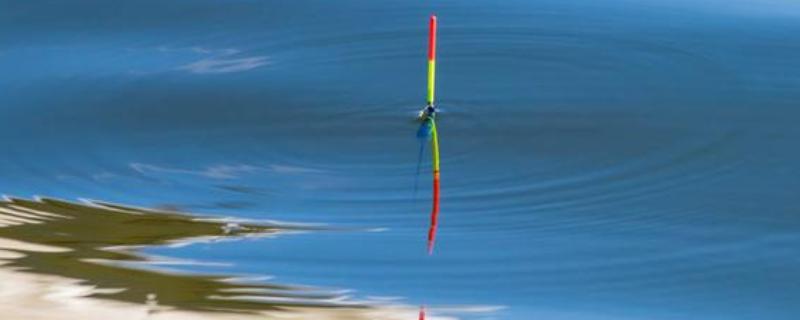 浮漂的分类，分为水花漂、细长型浮漂、圆型浮漂等