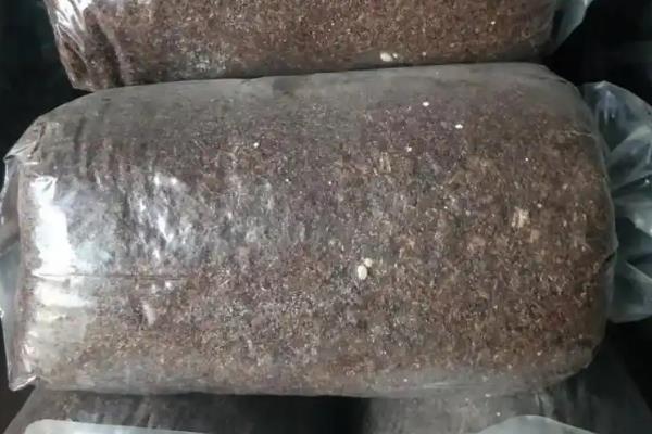 夏天小垄栽培草菇的方法，做出菇床后先铺放培养料再铺放菌种