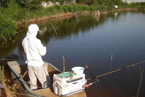 水库可以钓翘嘴吗，可以在水库钓翘嘴