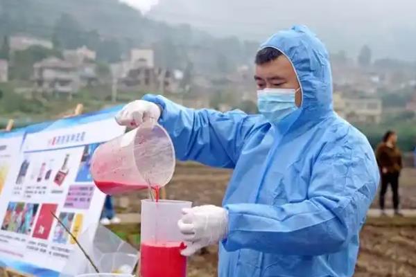 有什么地下害虫,常见蛴螬、地老虎、金针虫等种类