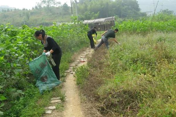 蜗牛怎么防治，撒施石灰可以有效保苗