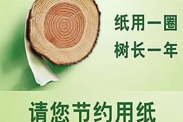 哪些树是黄叶子，常见的有银杏、无患子等
