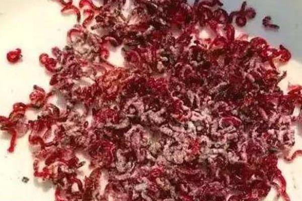 龙鱼的饲养方法，将水温保持在28-32℃