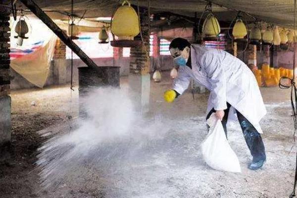 母猪怎么养殖，将猪圈温度保持在16-22℃