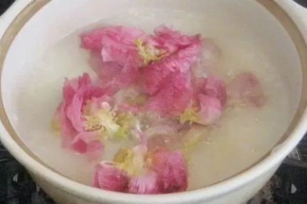 木芙蓉花的寓意,寓意吉祥富贵、纯洁美丽等