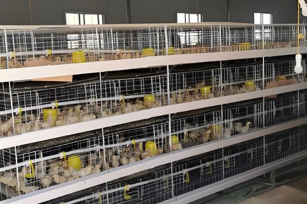 农村竞争小又赚钱的行业,主要有新型立体笼养业、乡野休闲度假服务等