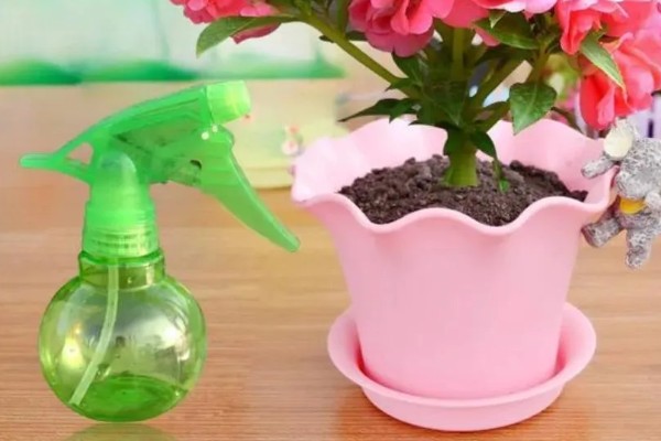 凤仙花的浇水间隔,春秋季节每隔5-7天浇一次