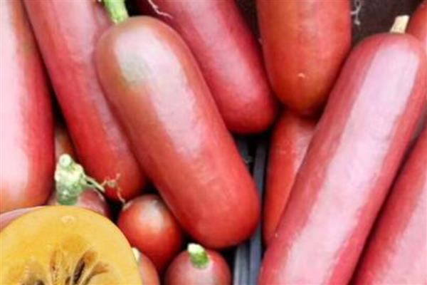 香如蜜可以放几天，可以保存三到六个月