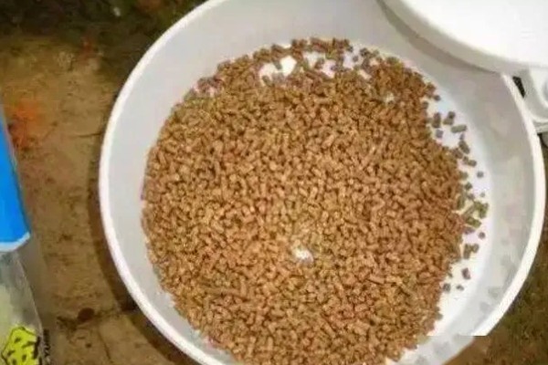 九一八饵料的味型，分为香饵、腥饵等