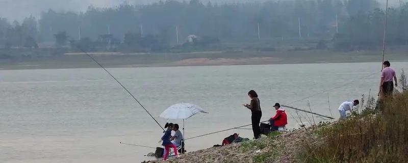 夏天钓鱼用腥味还是香味饵料，首选香味饵料