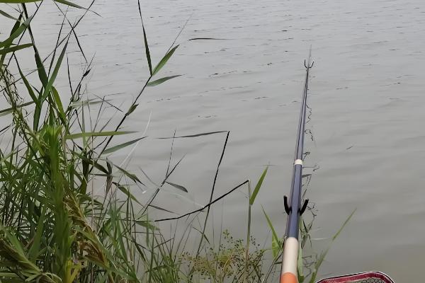 钓鱼用什么鱼线比较好，推荐尼龙线或者编织线