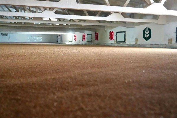 小麦种的发芽率,标准为85%