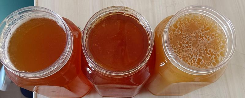 真正的好蜂蜜可不可以结晶，可以结晶但难度因蜜种而异