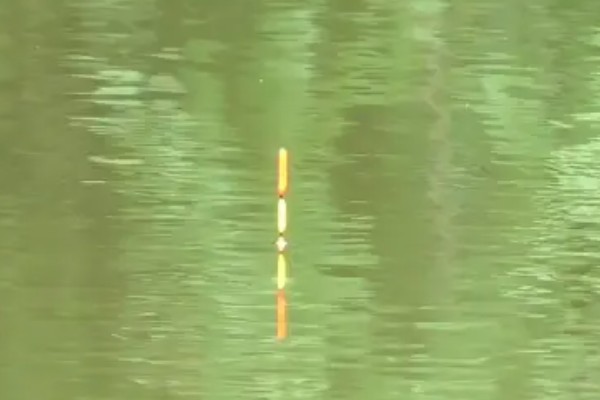 什么时候适合用长脚短尾漂，走水、小鱼较多时均可使用