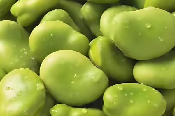 蚕豆的产地，大多数省份都有分布