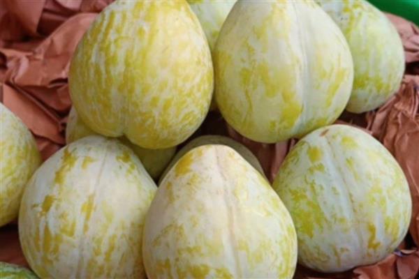 黄金李的产地，主产地在贵州大方