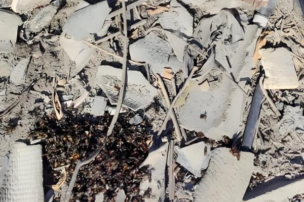 什么药杀蚂蚁且不伤蜜蜂,是指灭蚁灵