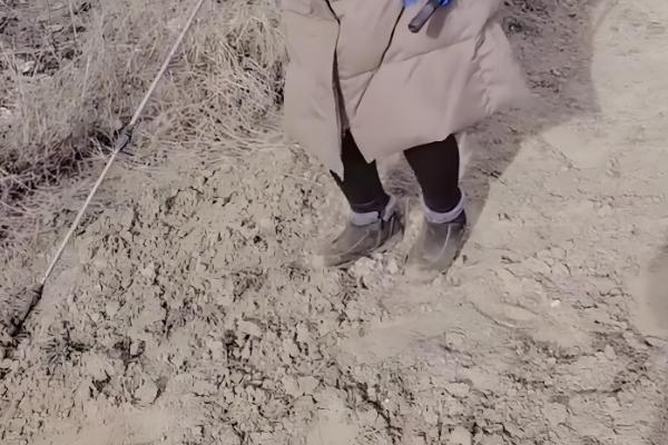 什么药杀蚂蚁且不伤蜜蜂,是指灭蚁灵