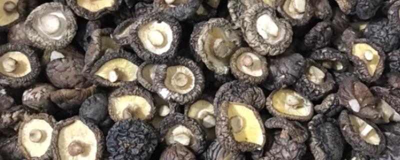 香菇放久变黑了还能吃吗，不宜食用