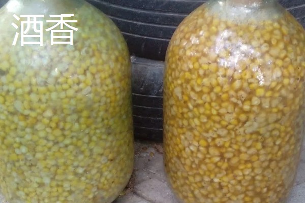 钓鳊鱼用什么味型的饵料,推荐草香、酒香等味型