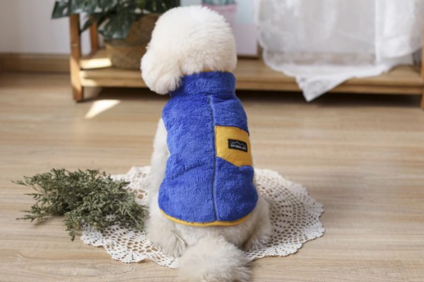 狗狗为什么会发烧,可能是身体受伤、耳道或尿路感染等因素造成