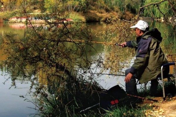 10度以下可以钓鲤鱼吗，可以尝试垂钓