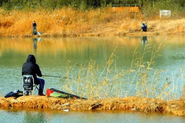 10度以下可以钓鲤鱼吗，可以尝试垂钓