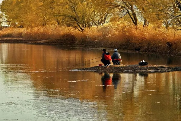 10度以下可以钓鲤鱼吗，可以尝试垂钓