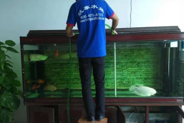 新鱼缸消毒用什么,推荐高锰酸钾、二氧化氯等