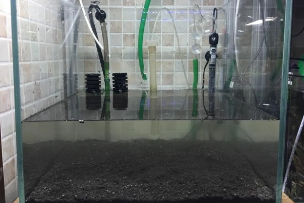 新鱼缸消毒用什么,推荐高锰酸钾、二氧化氯等