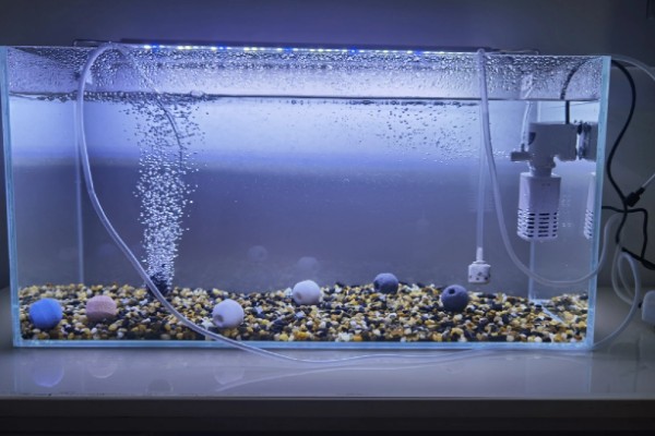 新鱼缸消毒用什么,推荐高锰酸钾、二氧化氯等