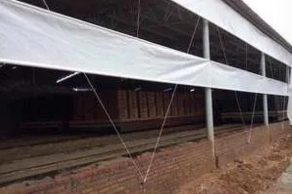 小鸡能喝牛奶吗,不可喝牛奶